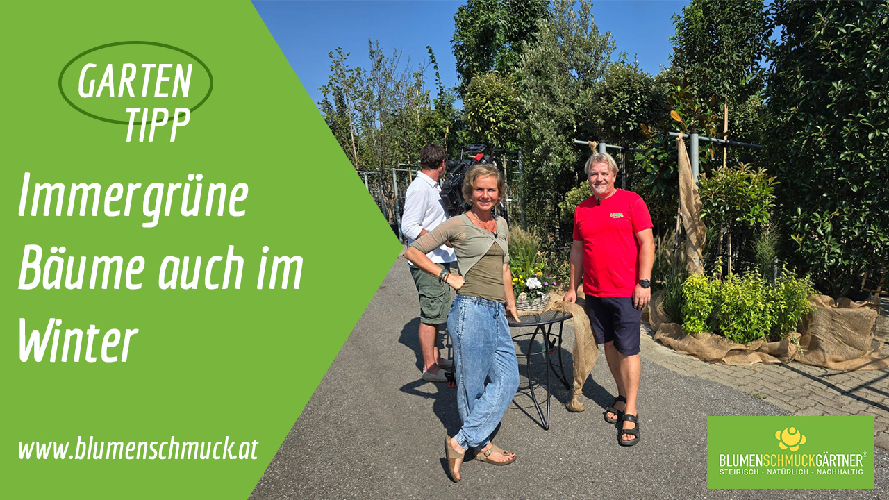 Klicken Sie auf das Bild um zum Video zu gelangen!