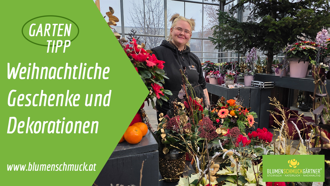 Klicken Sie auf das Bild um zum Video zu gelangen!