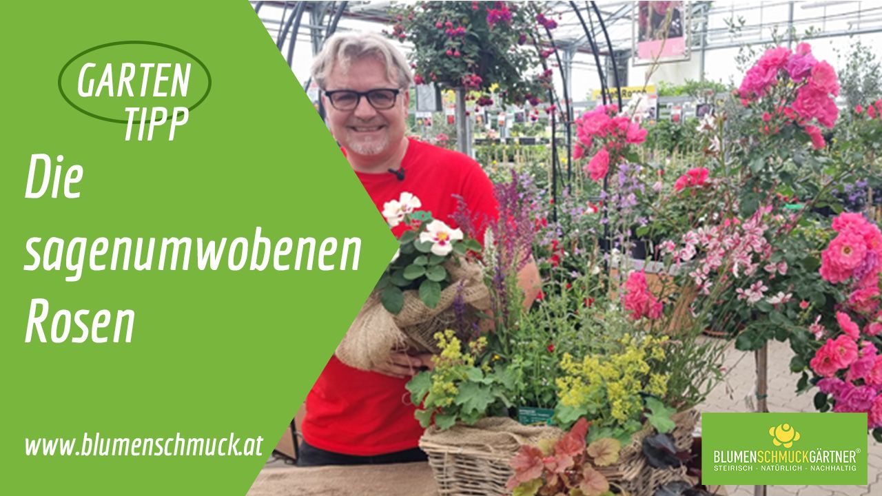 Klicken Sie auf das Bild um zum Video zu gelangen!