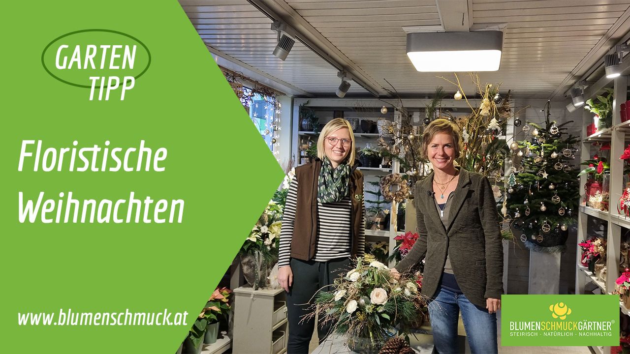 Klicken Sie auf das Bild um zum Video zu gelangen!
