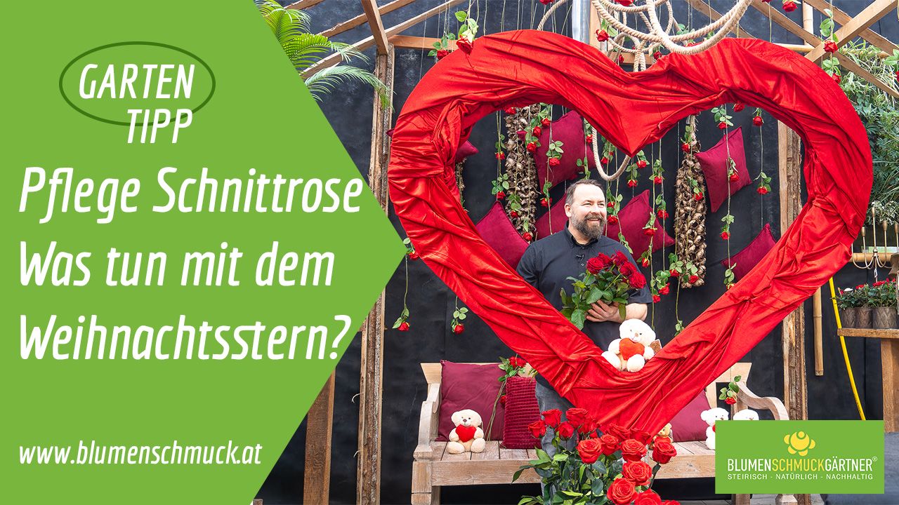 Klicken Sie auf das Bild um zum Video zu gelangen!
