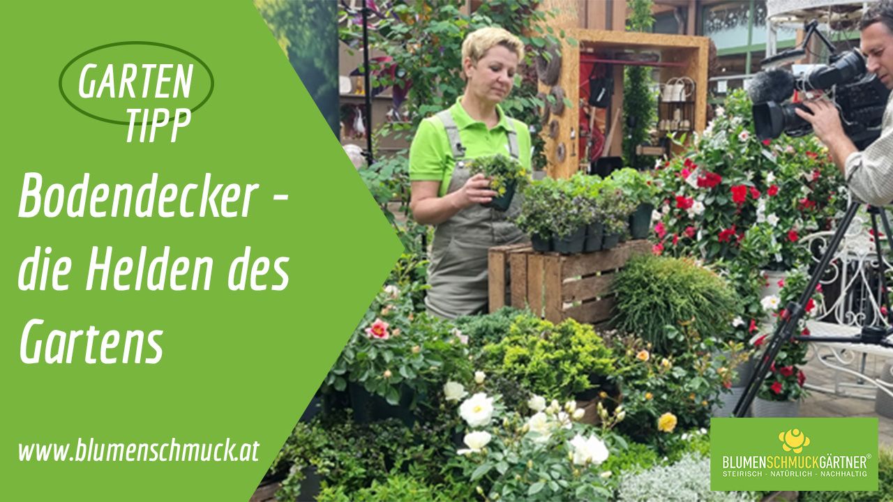Klicken Sie auf das Bild um zum Video zu gelangen!