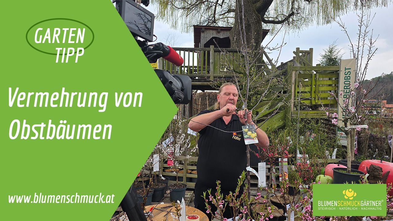 Klicken Sie auf das Bild um zum Video zu gelangen!