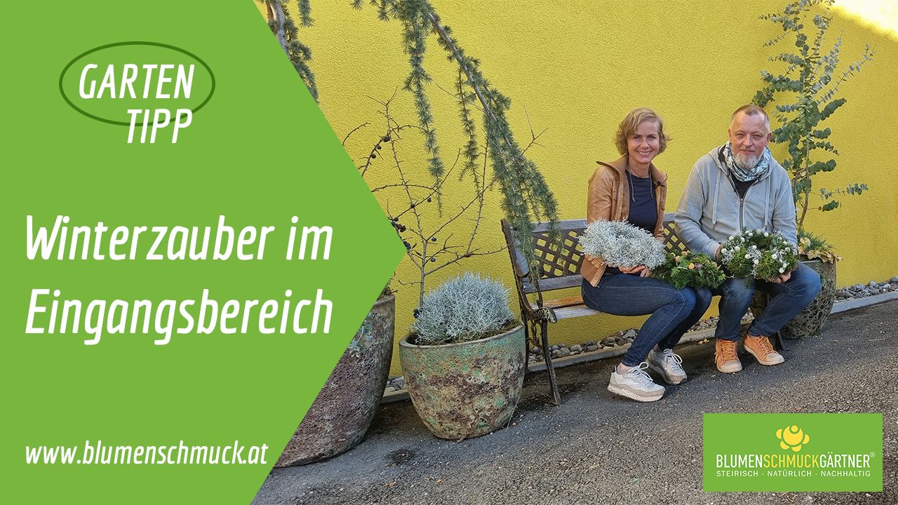 Klicken Sie auf das Bild um zum Video zu gelangen!