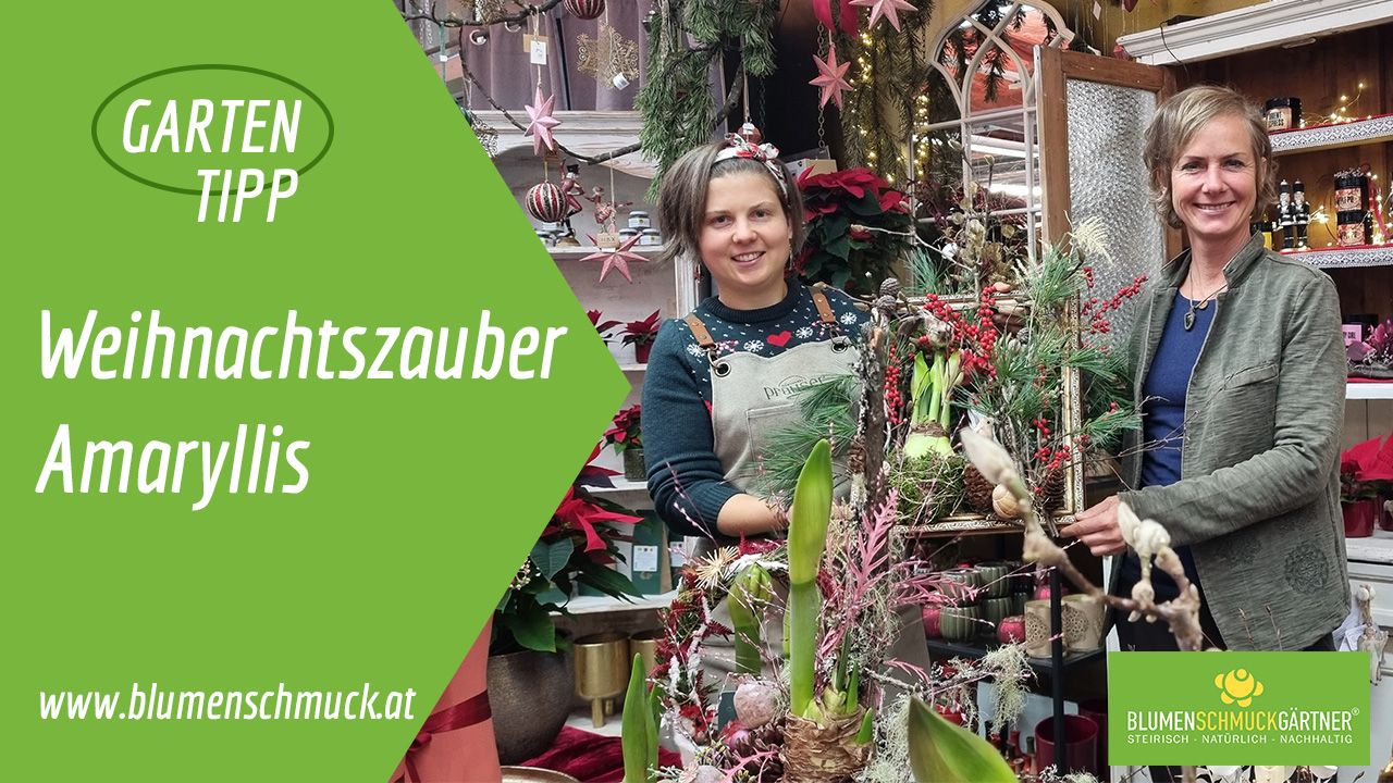Klicken Sie auf das Bild um zum Video zu gelangen!
