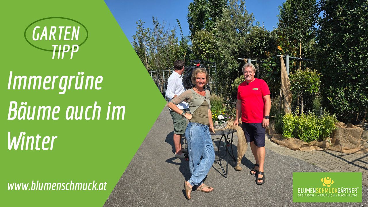 Klicken Sie auf das Bild um zum Video zu gelangen!