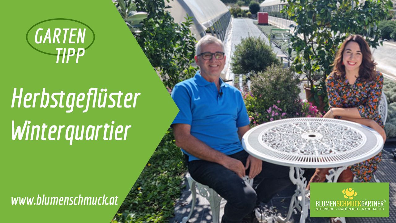 Klicken Sie auf das Bild um zum Video zu gelangen!