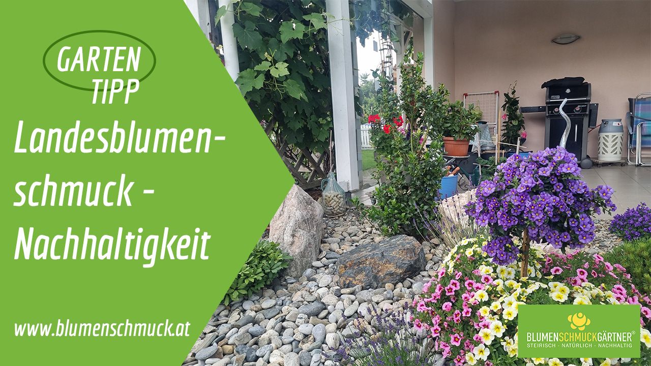 Klicken Sie auf das Bild um zum Video zu gelangen!