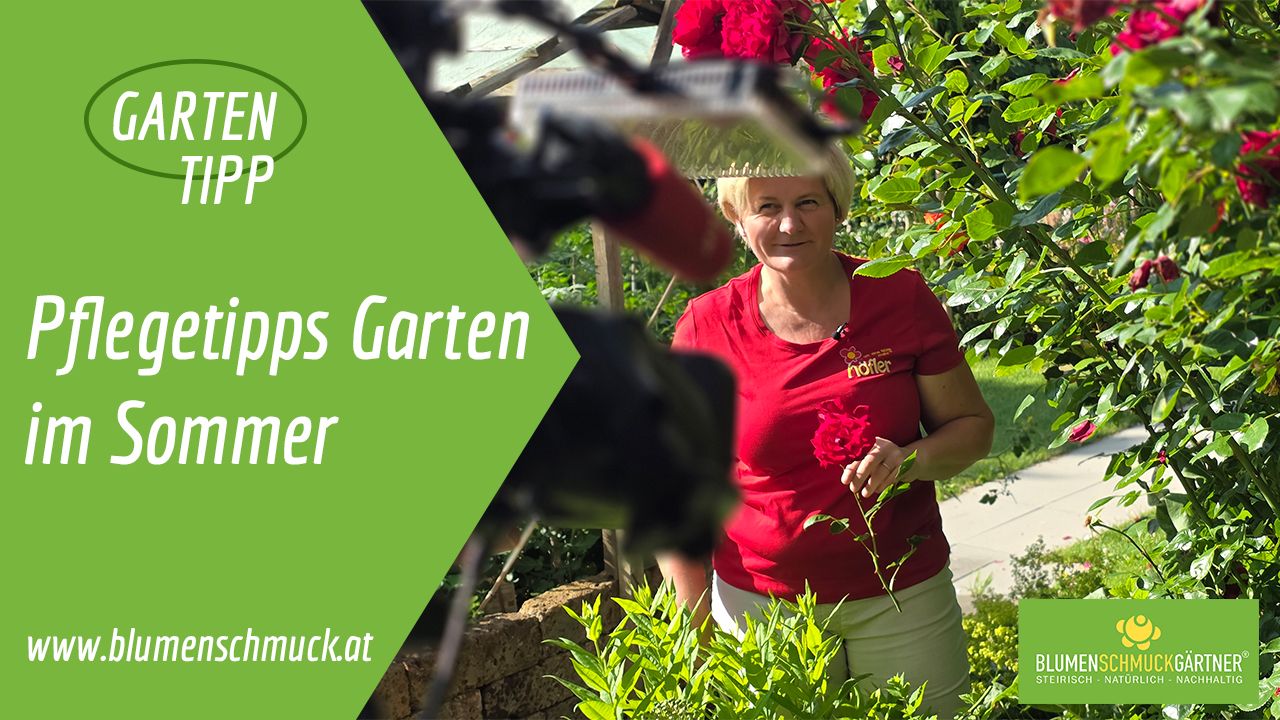 Klicken Sie auf das Bild um zum Video zu gelangen!