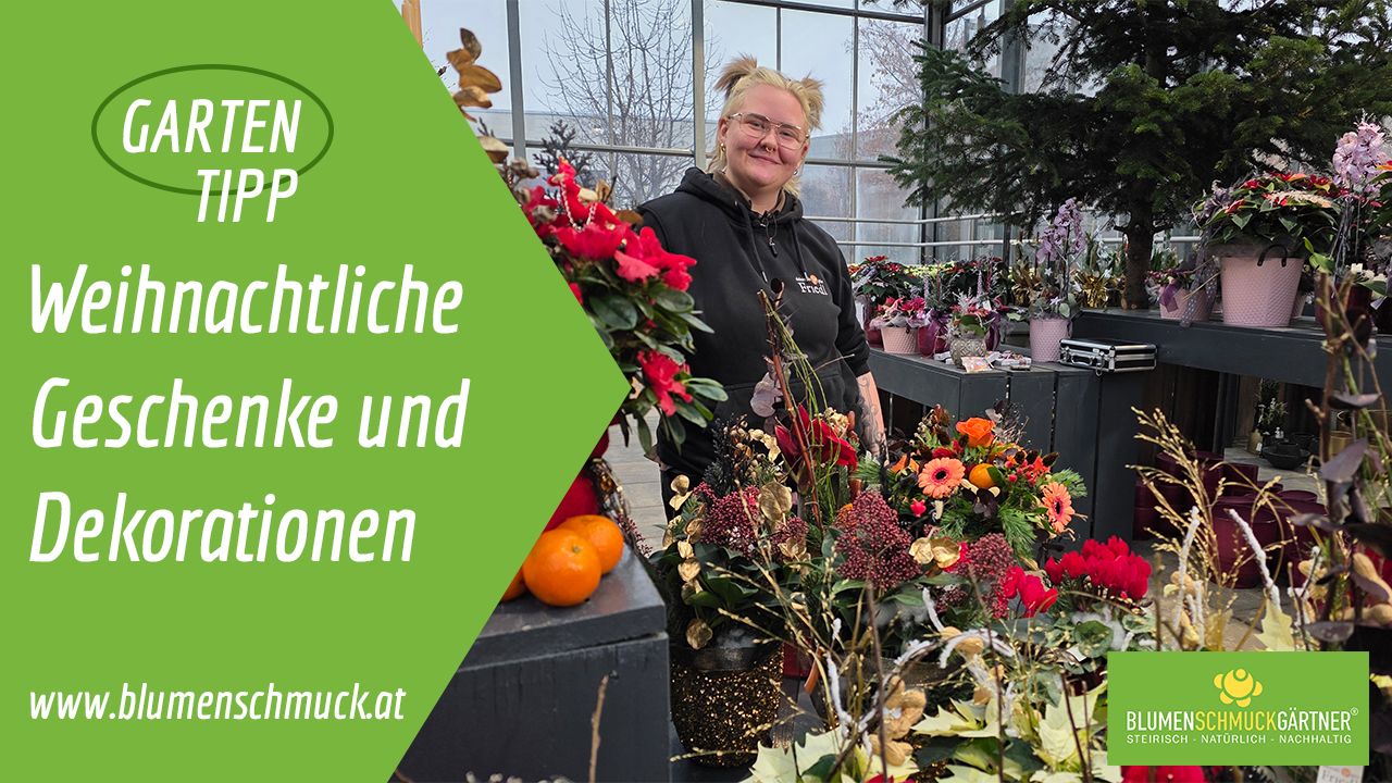 Klicken Sie auf das Bild um zum Video zu gelangen!