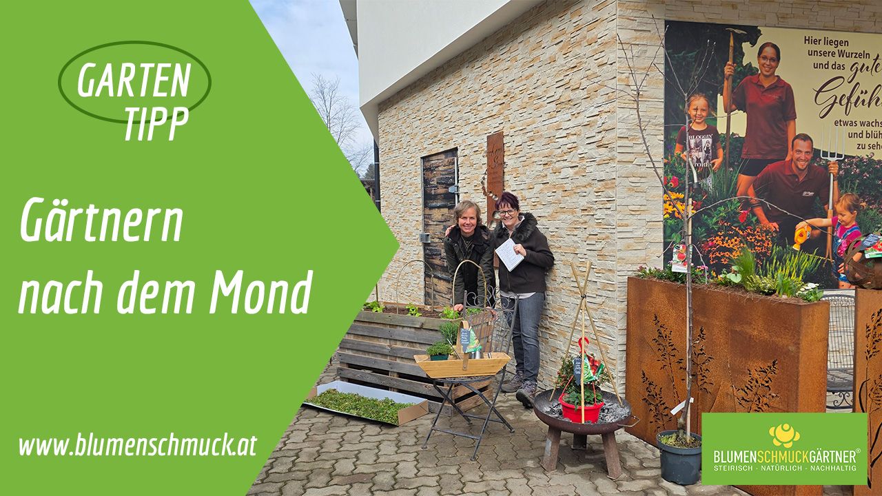 Klicken Sie auf das Bild um zum Video zu gelangen!