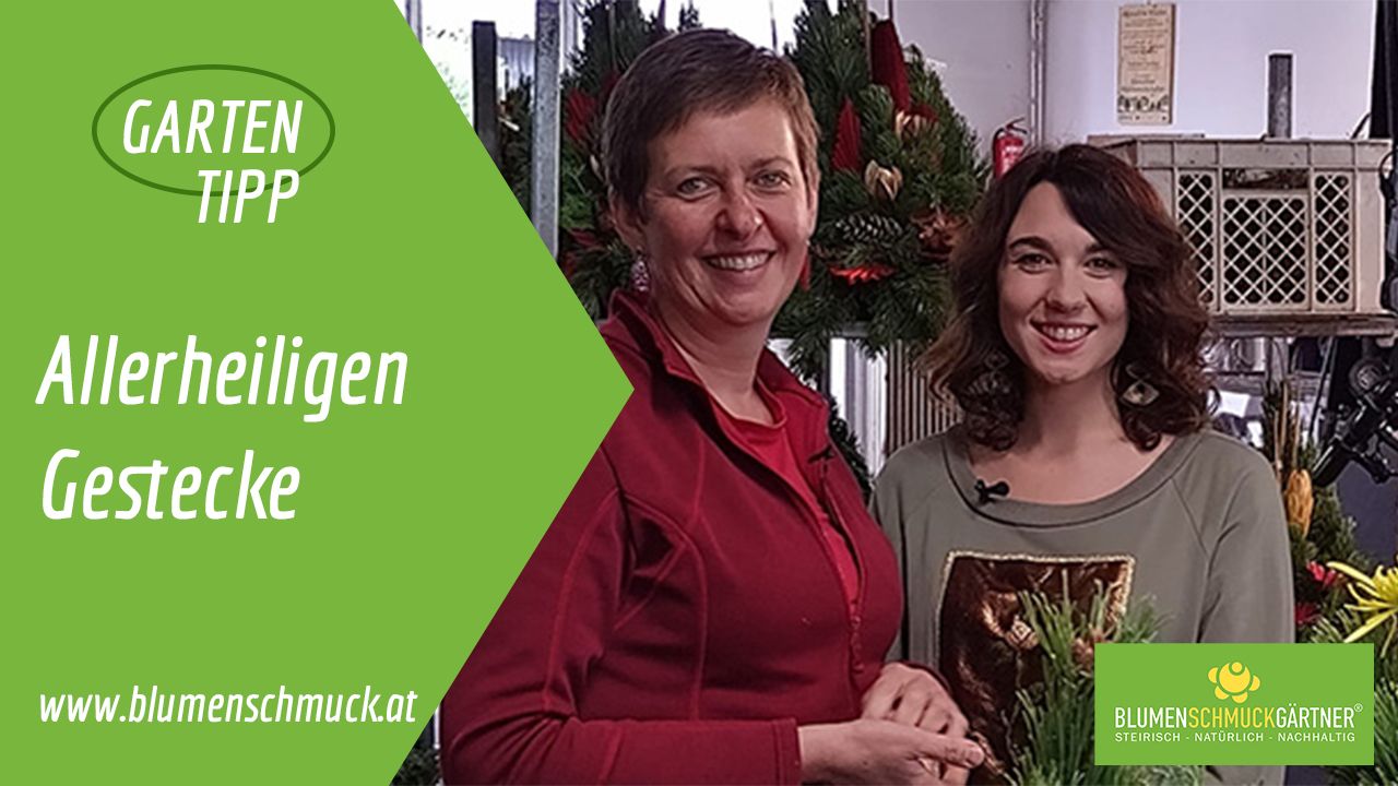 Klicken Sie auf das Bild um zum Video zu gelangen!