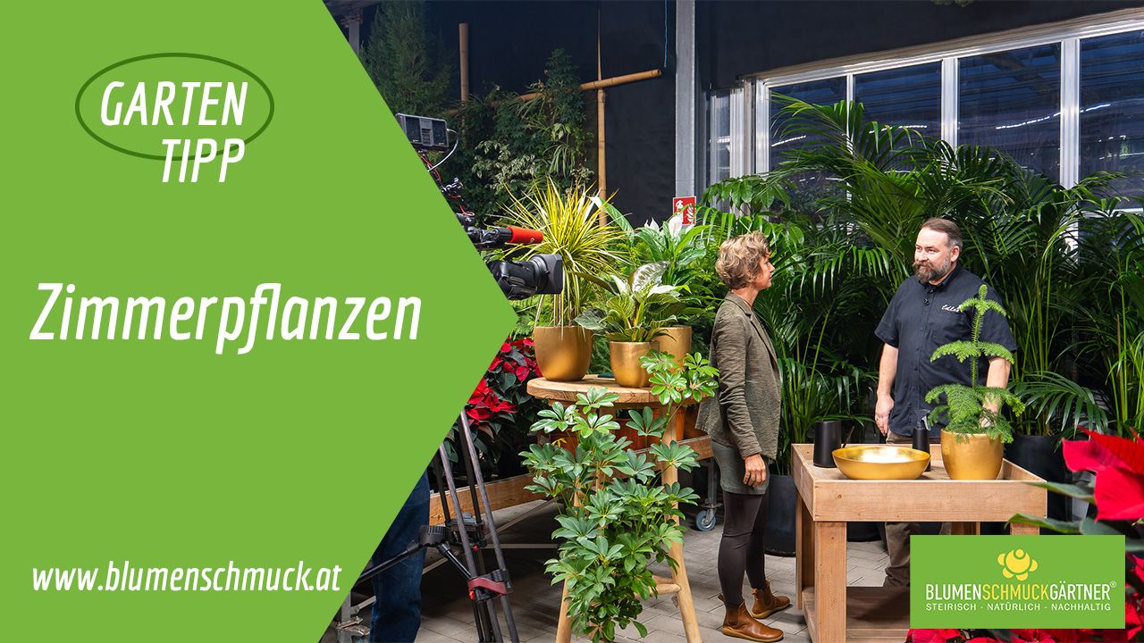 Klicken Sie auf das Bild um zum Video zu gelangen!